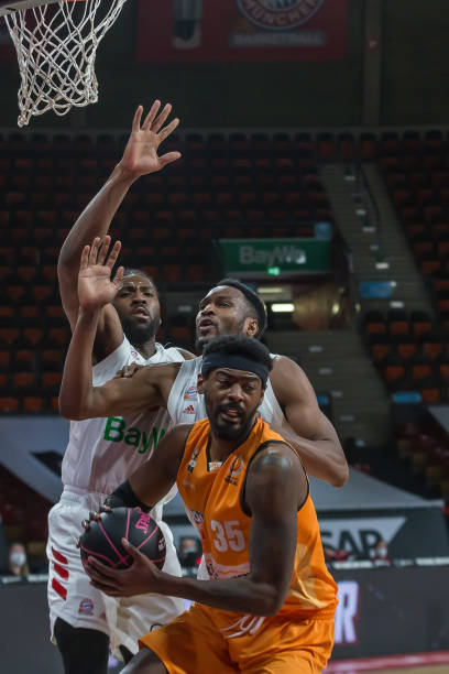 霍伊伦愿意 霍伊伦愿意